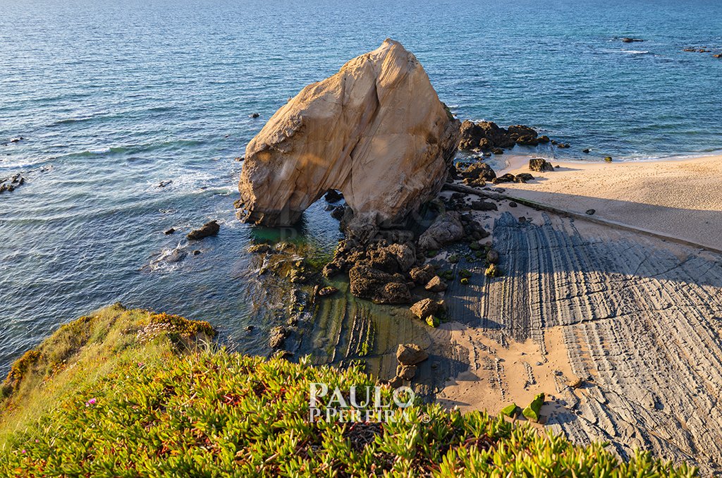 PauloSPP's tweet photo. Penedo do Guincho 🏖🇵🇹
Santa Cruz - Torres Vedras
#PenedoDoGuincho #sea #beach #praiadesantacruz #torresvedras #portugal #mar #nature #photooftheday #photo #Photography #Fotografia #PauloPPereira https://t.co/C0aOK5A0cn