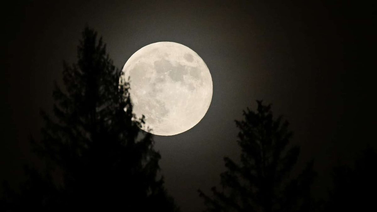 So eine Nacht wird das also heute...🌔🌕