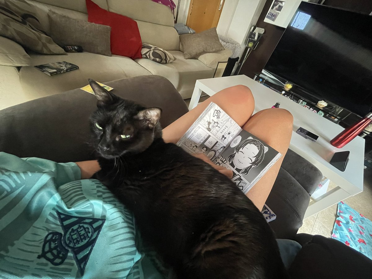 Kamy_Windrunner's tweet photo. Bueno se acabó la lectura en esta casa es hora de que me adores Karen.  (Y viva er Beti) https://t.co/mY03v8l9QJ