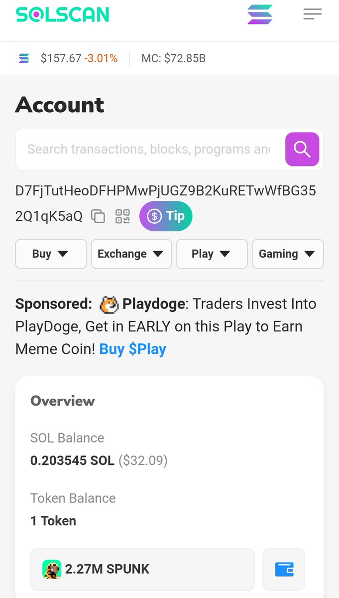 Leonardo Da Quackrio $PUNK tweet media