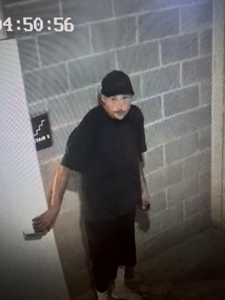 Yo Gabba Gabbagool tweet media