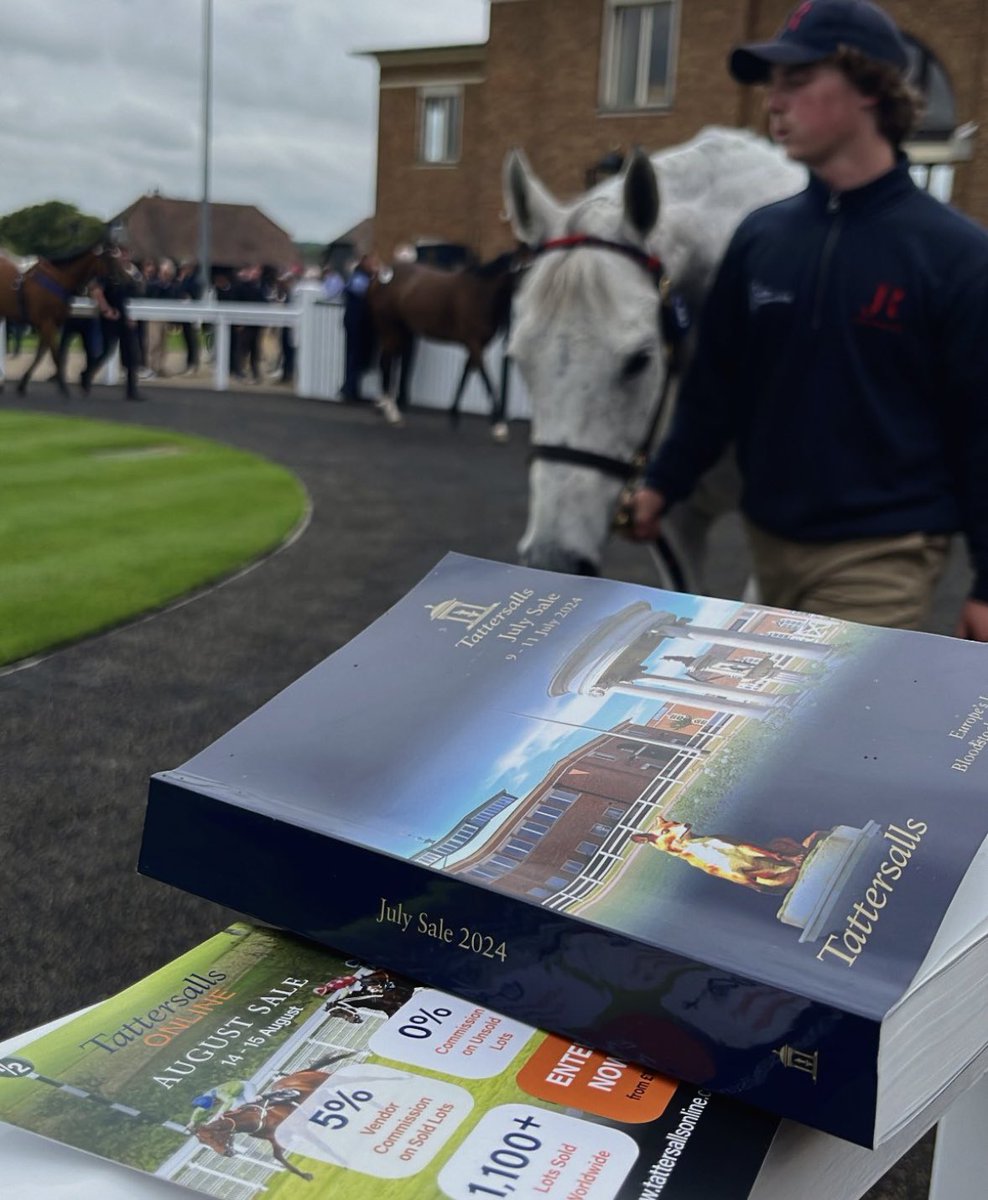 BThompson_media's tweet photo. With the July Sale completed here in Newmarket, we are now gearing up for the September Sale and the Somerville Yearling Sale. Why not head over to our website https://t.co/RGiT3mZQ1o, to see how we can elevate your brand with our range of services 📞💻 https://t.co/f79FWEzuuv