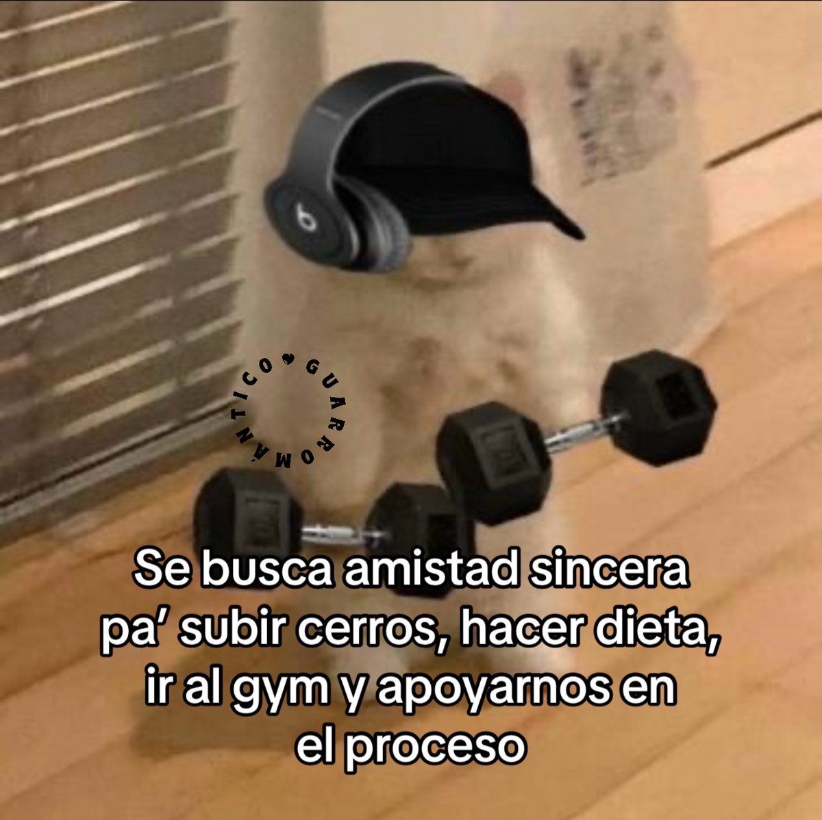 Guarromantico_'s tweet photo. Se busca. https://t.co/SBqAfBB42Q