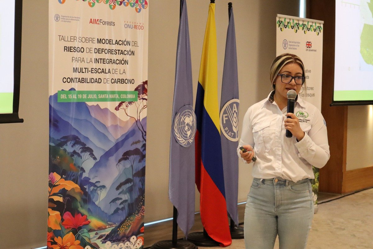 FAO_Colombia's tweet photo. Los mapas de riesgo de deforestación son un insumo técnico importante para la toma de decisiones. 🇨🇴🇧🇷🇪🇨🇵🇪🇨🇱🇬🇹🇲🇽 presentaron avances. #Deforisk🌳 es una herramienta que hará más eficiente los procesos de monitoreo de los bosques #AIM4Forests @unredd #deforestación @FaoForestry https://t.co/LLO1moLOV6