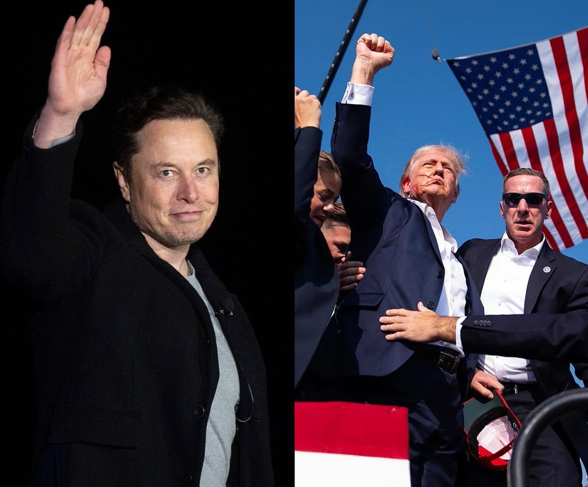 DogeDesigner tweet media