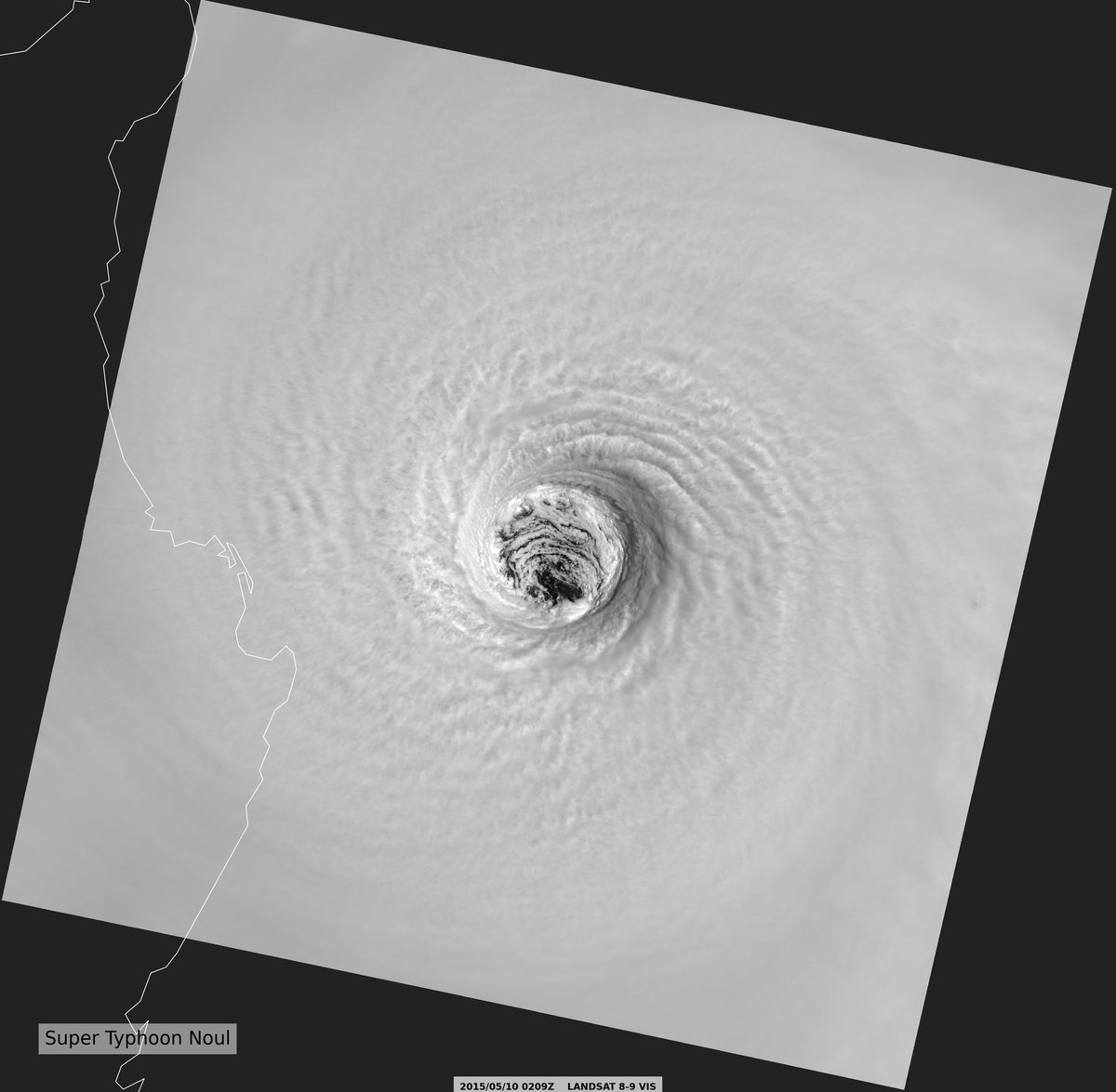 CocoasCola tweet media