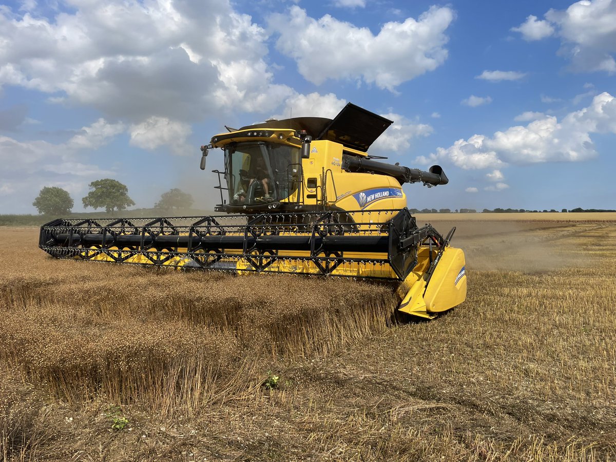 Obligatory start of harvest picture. Bittersweet really as last one here but at least the sun is shining for now