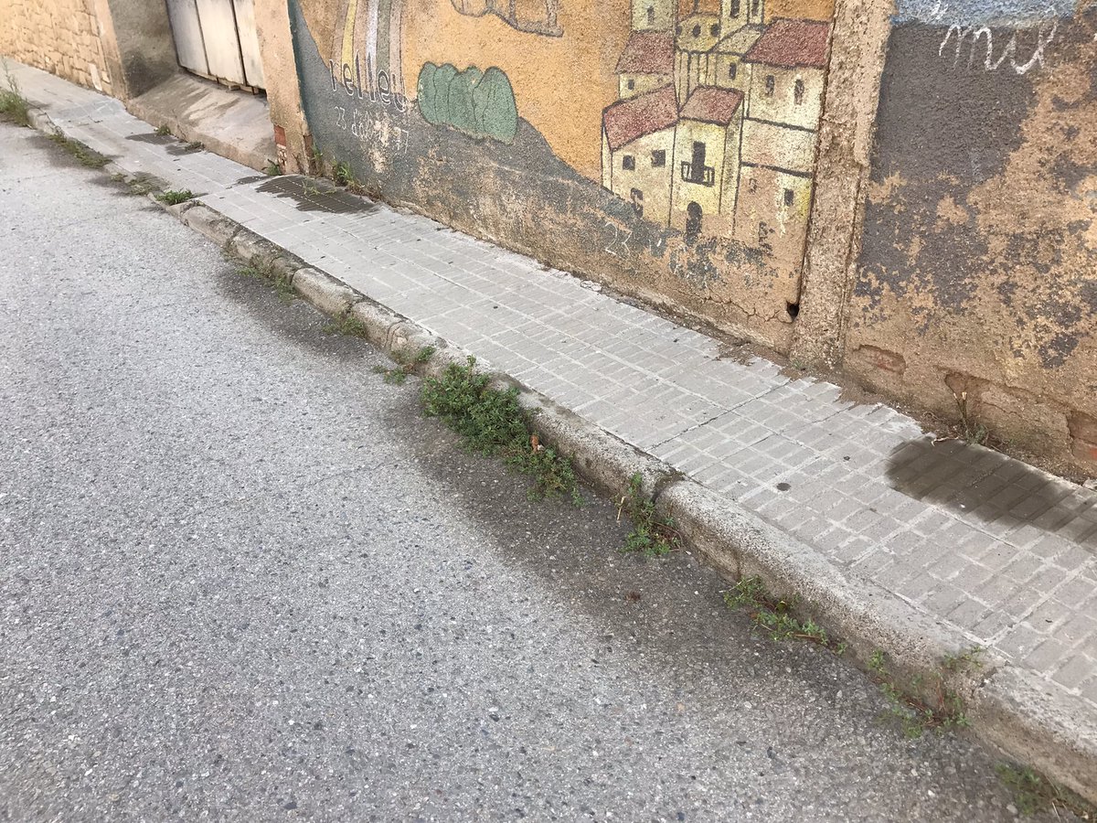 cecalldtnes_eco's tweet photo. ⚠️Aquests dies jardiner del TAC Osona @SantTomas_ estava tirant herbicida a Vilatorta. No sabem quin producte utilitzen, però anava tot tapat i amb una mascareta. 
Demanem a @aj_SJV que ens informi dels productes utilitzats. Alguns d'ells poden ser perjudicials per a la salut! ☣️ https://t.co/XIYaDVlZ5s