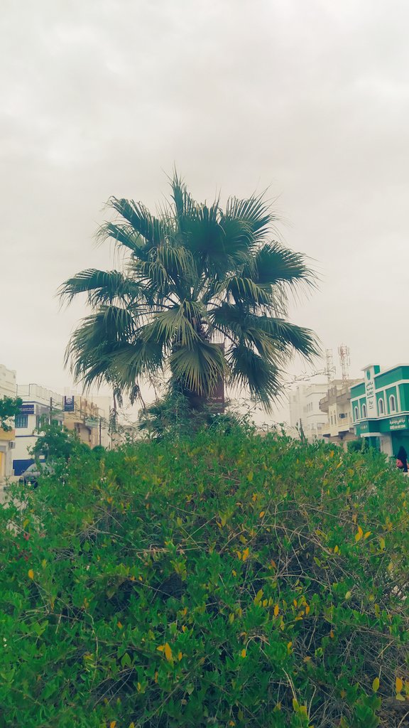 <a href="/mnarly20164207/">منار علي</a>