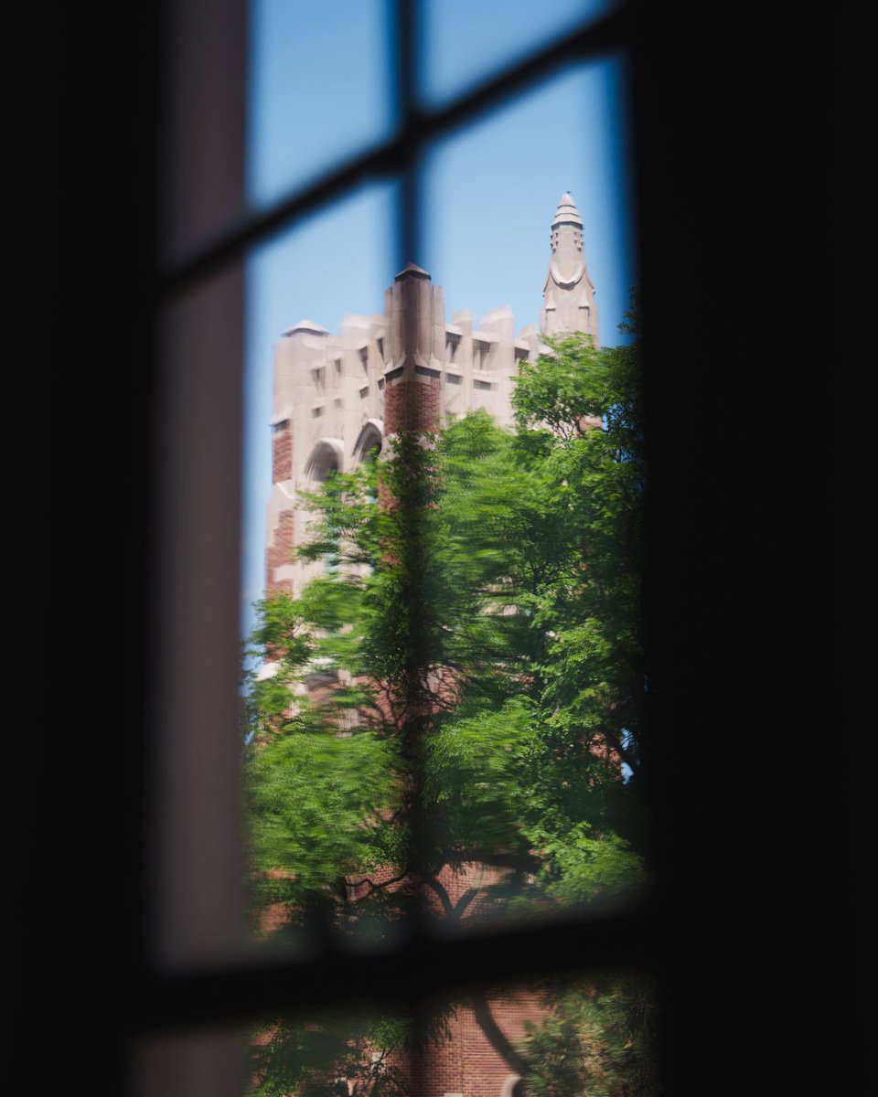 michiganstateu's tweet photo. Nothing beats these views. 💚 https://t.co/i5idWP8Dm1