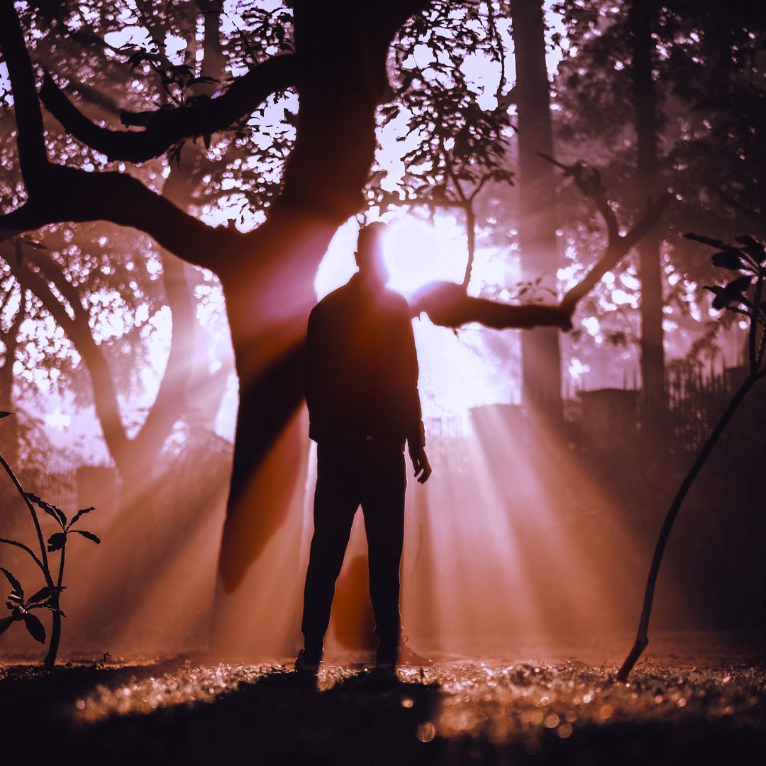 Pianostalgic.Music tweet media