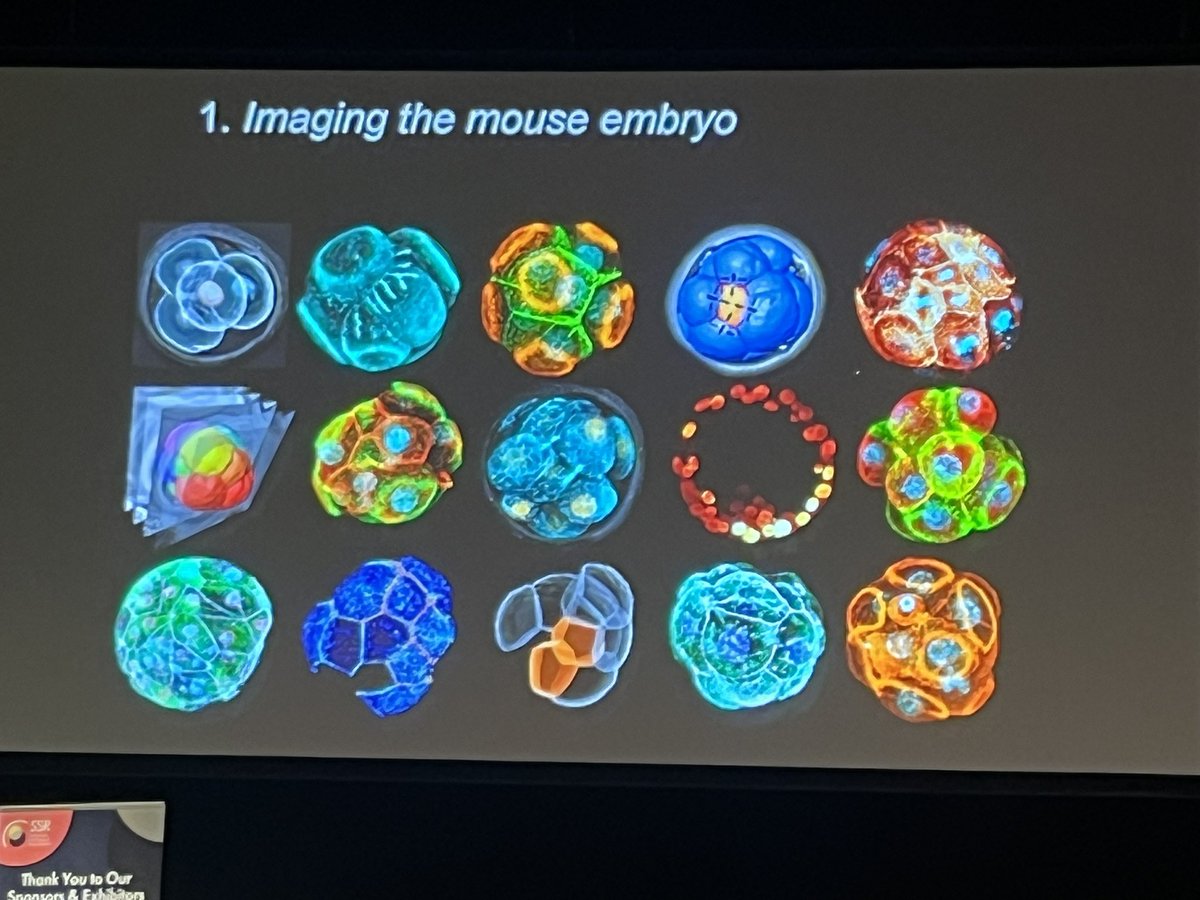 AdipokinesTEAM's tweet photo. Such a excellent talk by Nicolas Plachta at #SSR2024! So impressive about him work on embryo imaging! #SSRepro #SSR https://t.co/TTcxcZcoFg