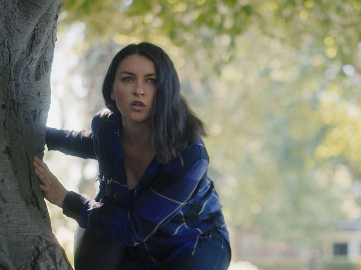 Hollywood Suite tweet media