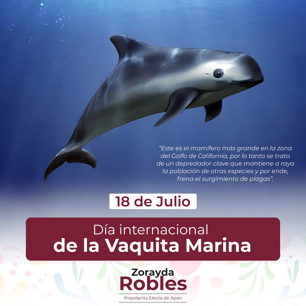 Dra. María Zorayda Robles Barrera tweet media