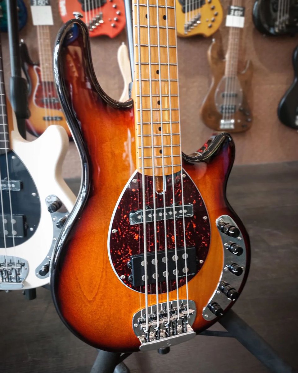 sireusaofficial's tweet photo. Antique White and 3 Tone Sunburst are just two among the five color options for the new Sire Z7. Pre-order now via any of our dealers. 📸@bassmaniac_paris (IG)
#SireCollection #Sirebass #SireZ7 #MarcusMiller #Sire2024models https://t.co/edTBBzhMxw