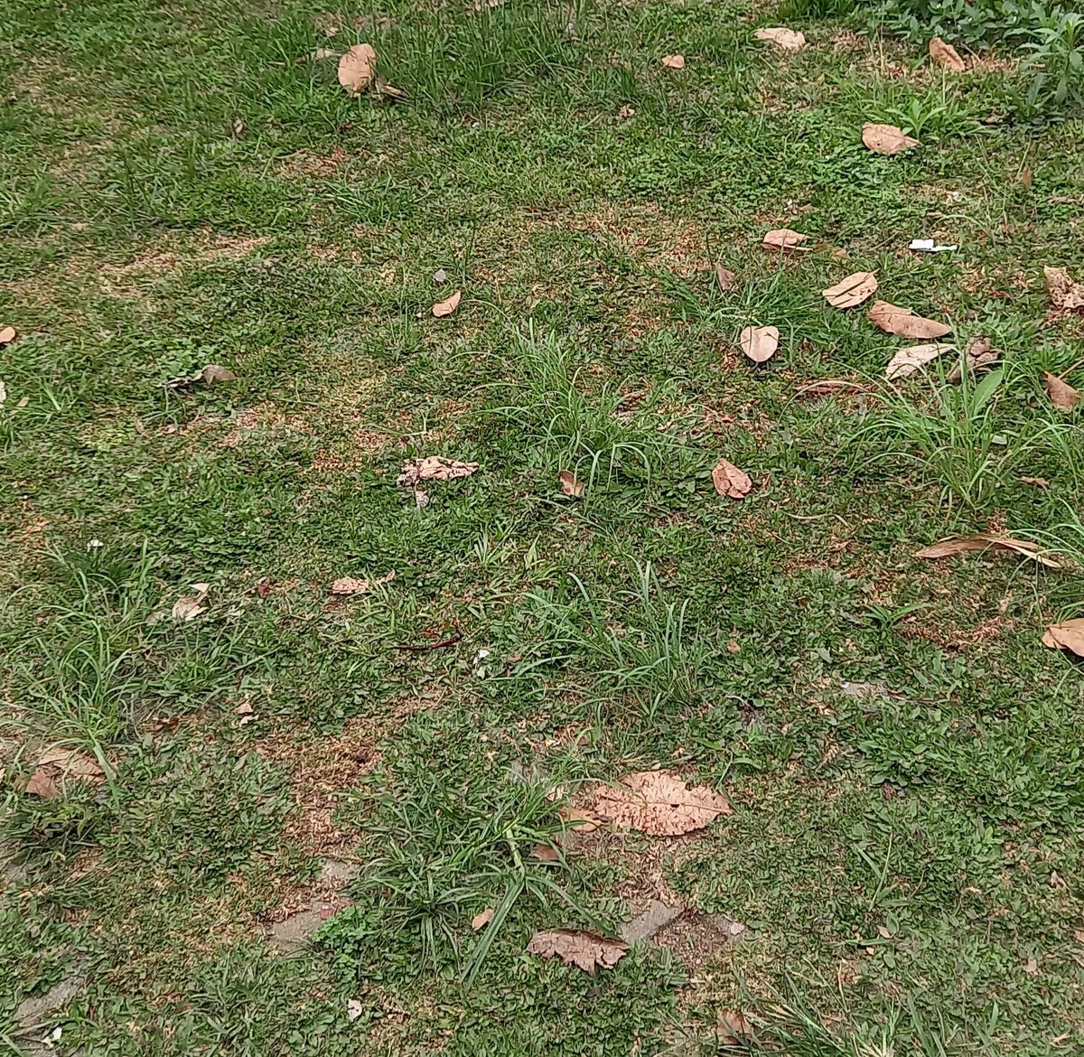 Tanah. Namun, tampaknya bukan punya gue sendiri meski beli pake duit sendiri.