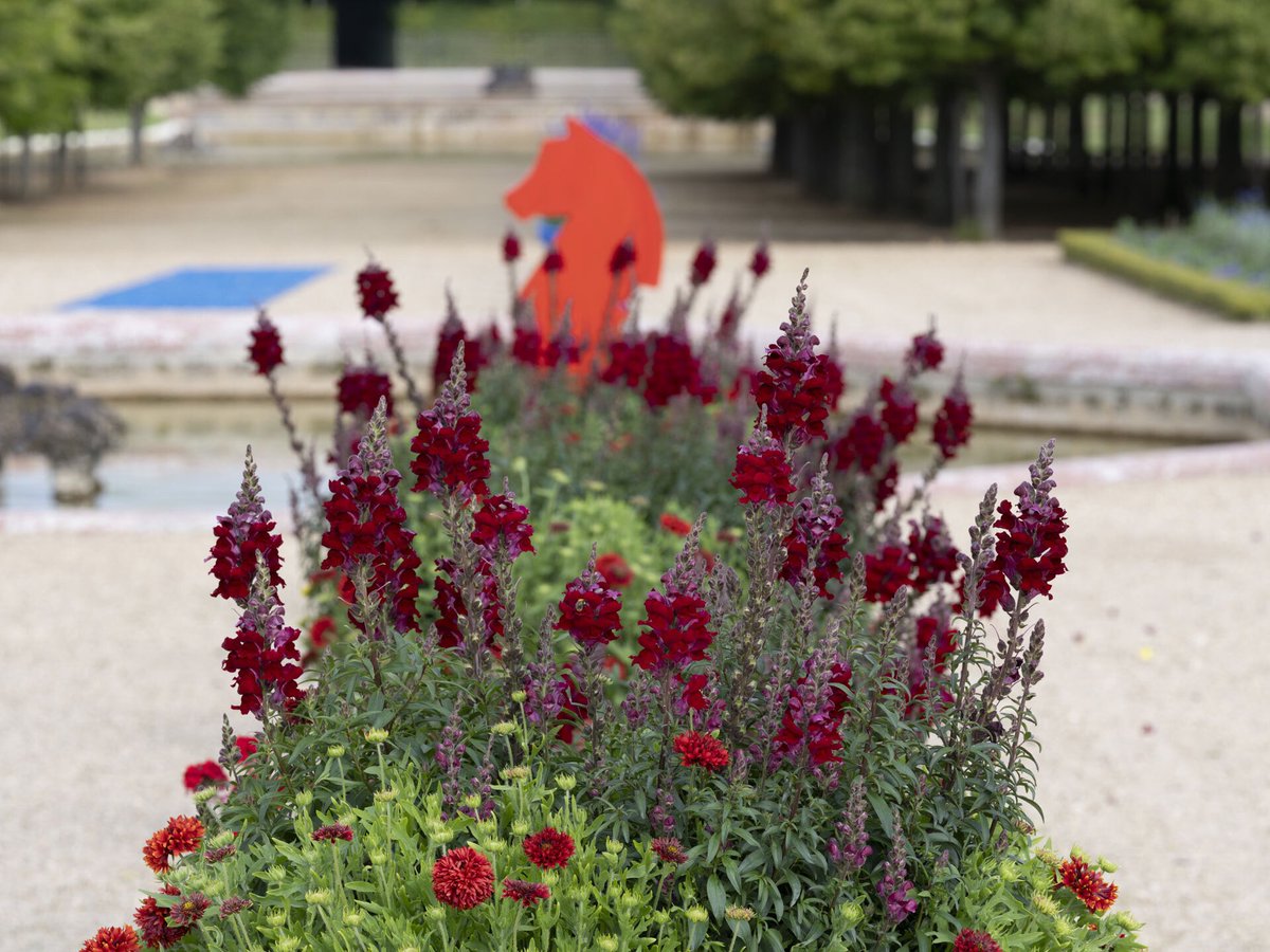 🇫🇷 Jusqu’en octobre 2024, venez découvrir le « parterre des petits chevaux » inspiré du jeu de société éponyme et imaginé par les jardiniers de Trianon en écho aux épreuves équestres des Jeux Olympiques  !