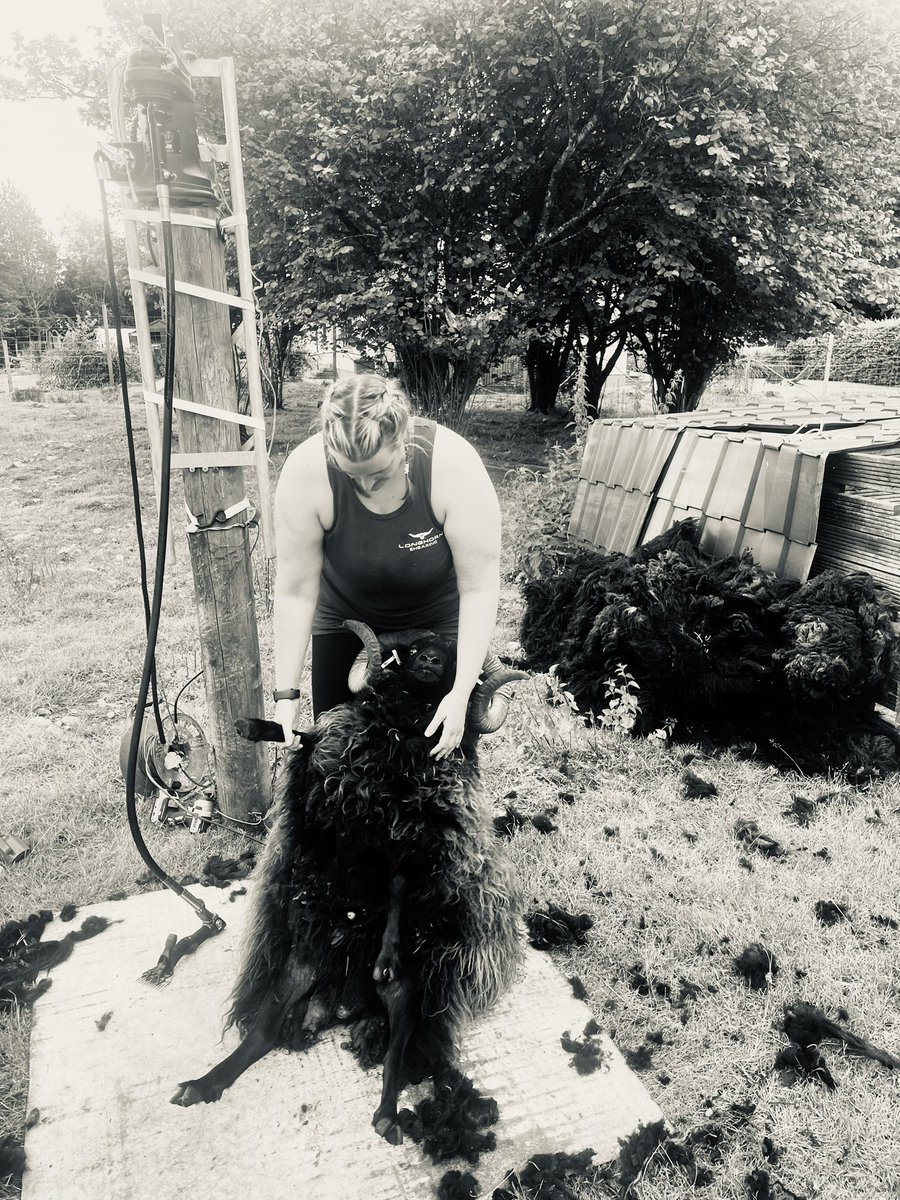 Sarah-Jayne Shankland tweet media