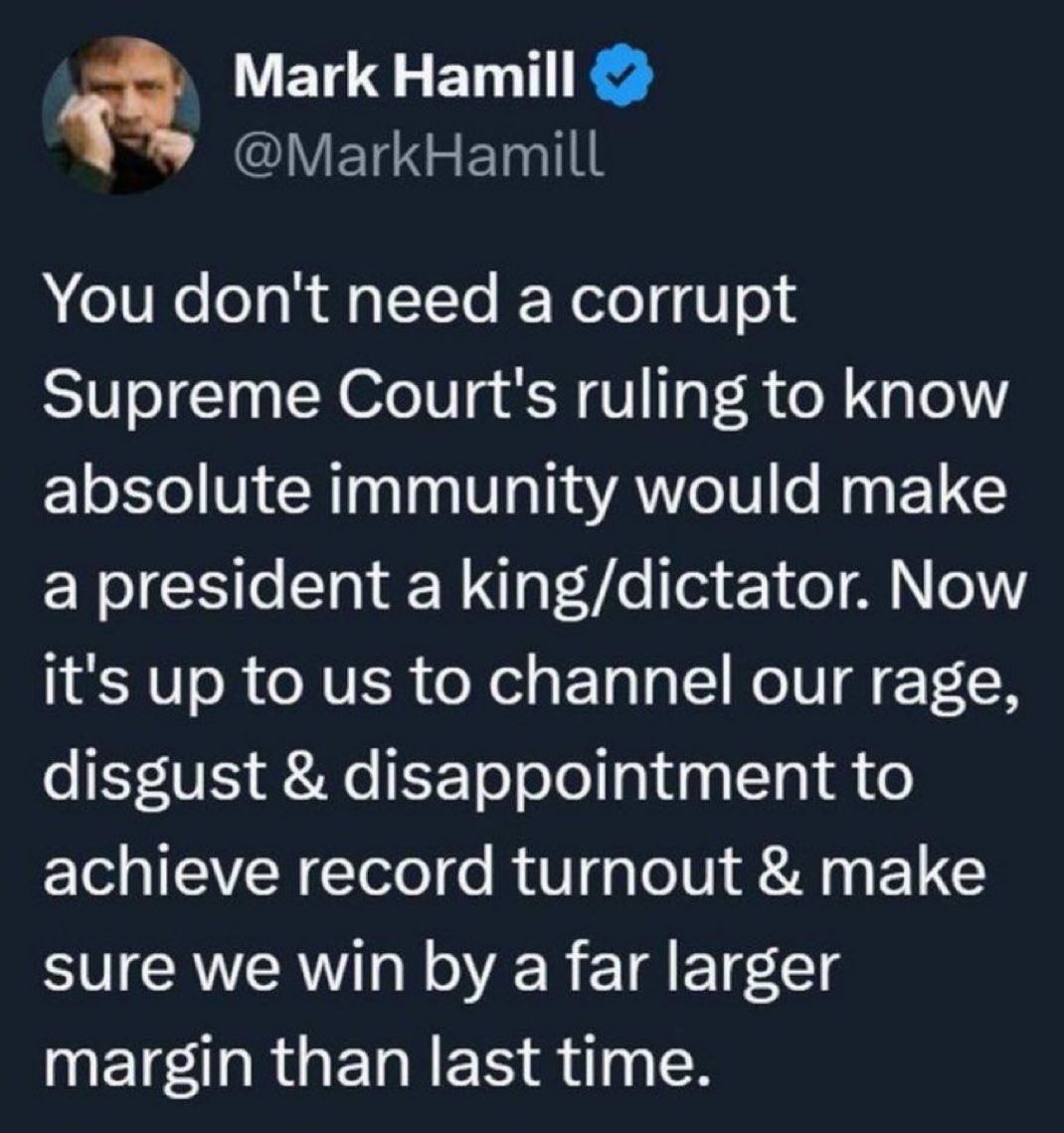 kangaroos991's tweet photo. Sadly, many thought Hillary was going to win against Trump in 2016, so they didn't vote! Let's not make that mistake again; the stakes are FAR too high! 

Raise a ✋ if you're with @MarkHamill 🙋‍♂️
#StopTrump #VoteBlueDownBallot 💙 https://t.co/HO9H59kTWl