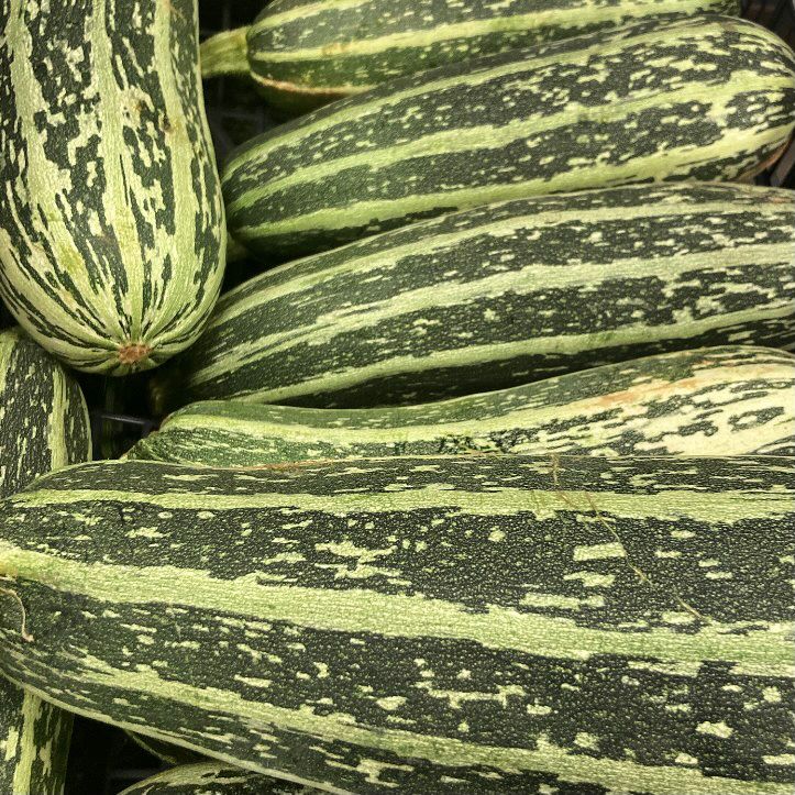 rushtonsgrocer's tweet photo. UK marrows are now available. They're a great flavour carrier and work well stuffed and roasted. https://t.co/aW9RWpqX0q