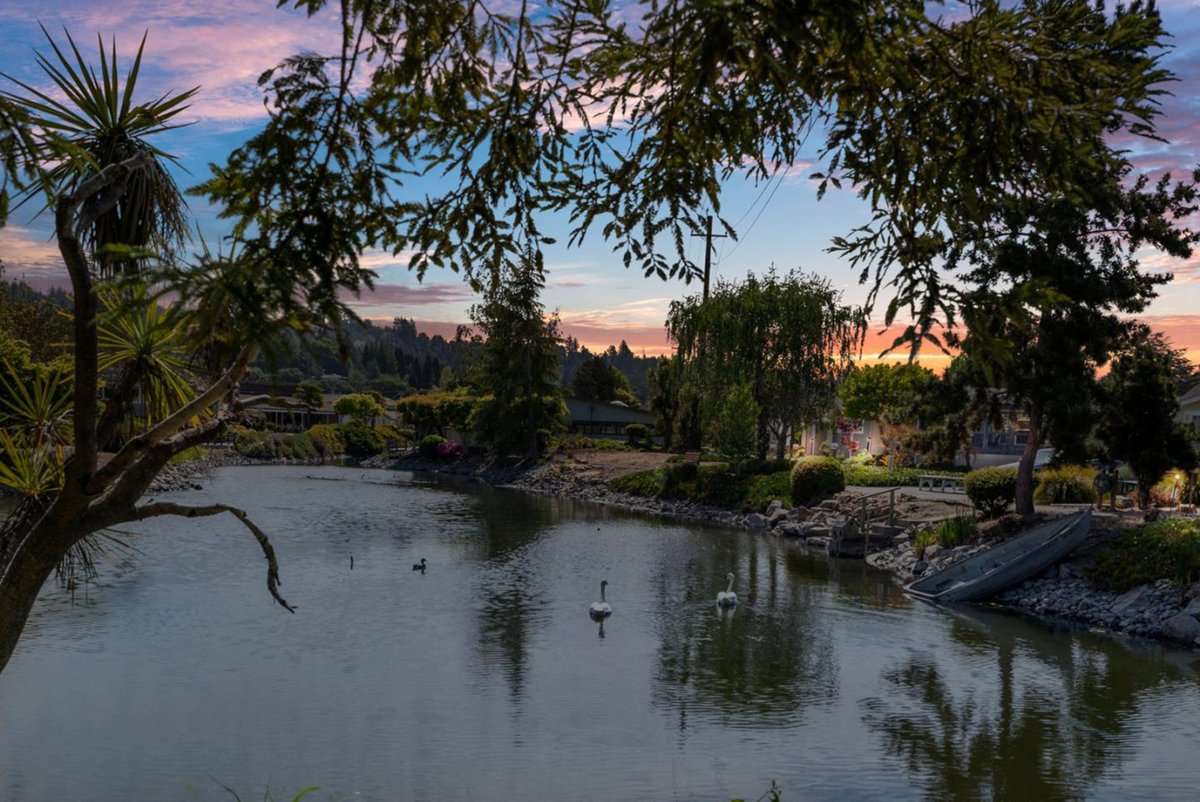 alexchowhomes's tweet photo. #SpringLakes 55+ #MobileHomePark: Tucked away in a great location, Spring Lakes offers a beautiful pool, clubhouse, putting green, shuffleboard, and more. 🛝 Located in the heart of #ScottsValley, it provides easy access to grocery stores, restaurants, banking, coffee shops... 🛍️ https://t.co/TKyWRjyaEF