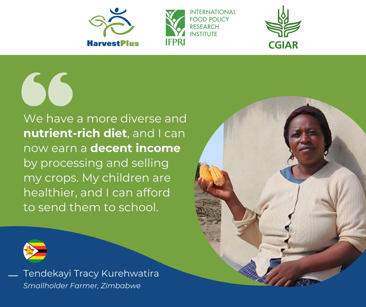 👩🏾‍🌾🌽 Despite facing challenges like the #ElNino drought, smallholder farmer Tendekayi envisions a future where she can create jobs and expand her new business, while her community benefits #biofortified crops.

Learn more about her story. ➡️ bit.ly/4davdK1 #HiddenHunger