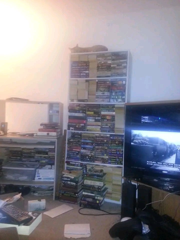 johnringat's tweet photo. The big orange beast sleeping upon the new bookcase that has the best sci fi and fantasy books in it.John boy top left are your books next to RAH's books. https://t.co/DafYhzdcu8