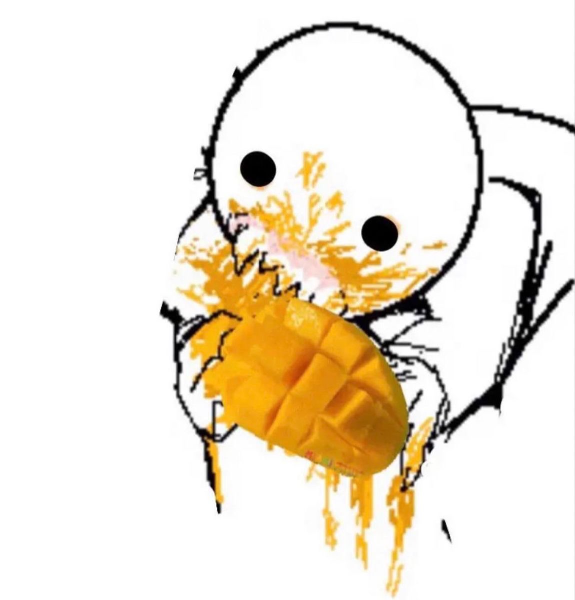 whaleisIander's tweet photo. I  GOT  SOME  MANGO  :D https://t.co/n95RSShUTe