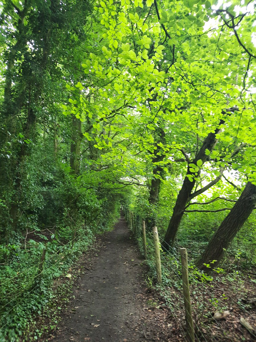 Join us tommorow for our guided walk with these stunning views! Funded by <a href="/HeritageFundL_S/">The National Lottery Heritage Fund London & South</a> .  Learn about the local wildlife and history of this beautiful landscape. Meet us tommorow  at 1.30pm, at West Hythe Car Park, by the canal. #RoyalMilitaryCanal <a href="/KentDownsNL/">Kent Downs National Landscape</a> <a href="/ExploreKent/">Explore Kent</a>