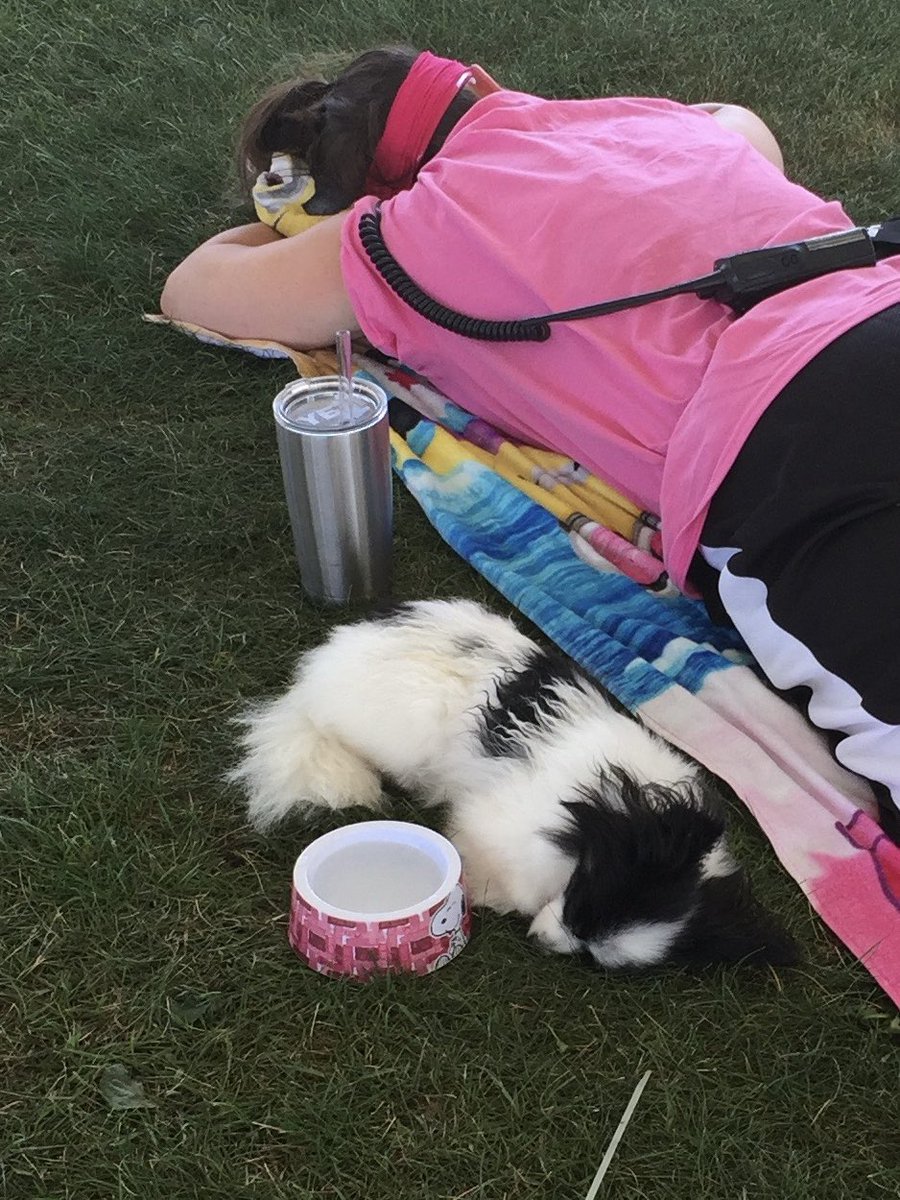 TheFieldService's tweet photo. Today we celebrate the life of our beloved @NysaTheRunner. So many fond memories having her help us in the field manager tent  and now she is taking care of the soccer fields over the rainbow bridge. 🌈💗🌈 https://t.co/xtgHN30x1r