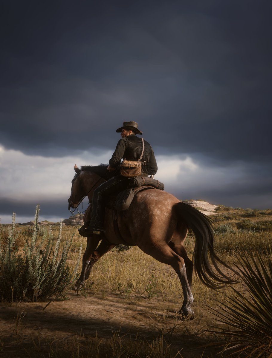 Hoffman Virtual Photography tweet media