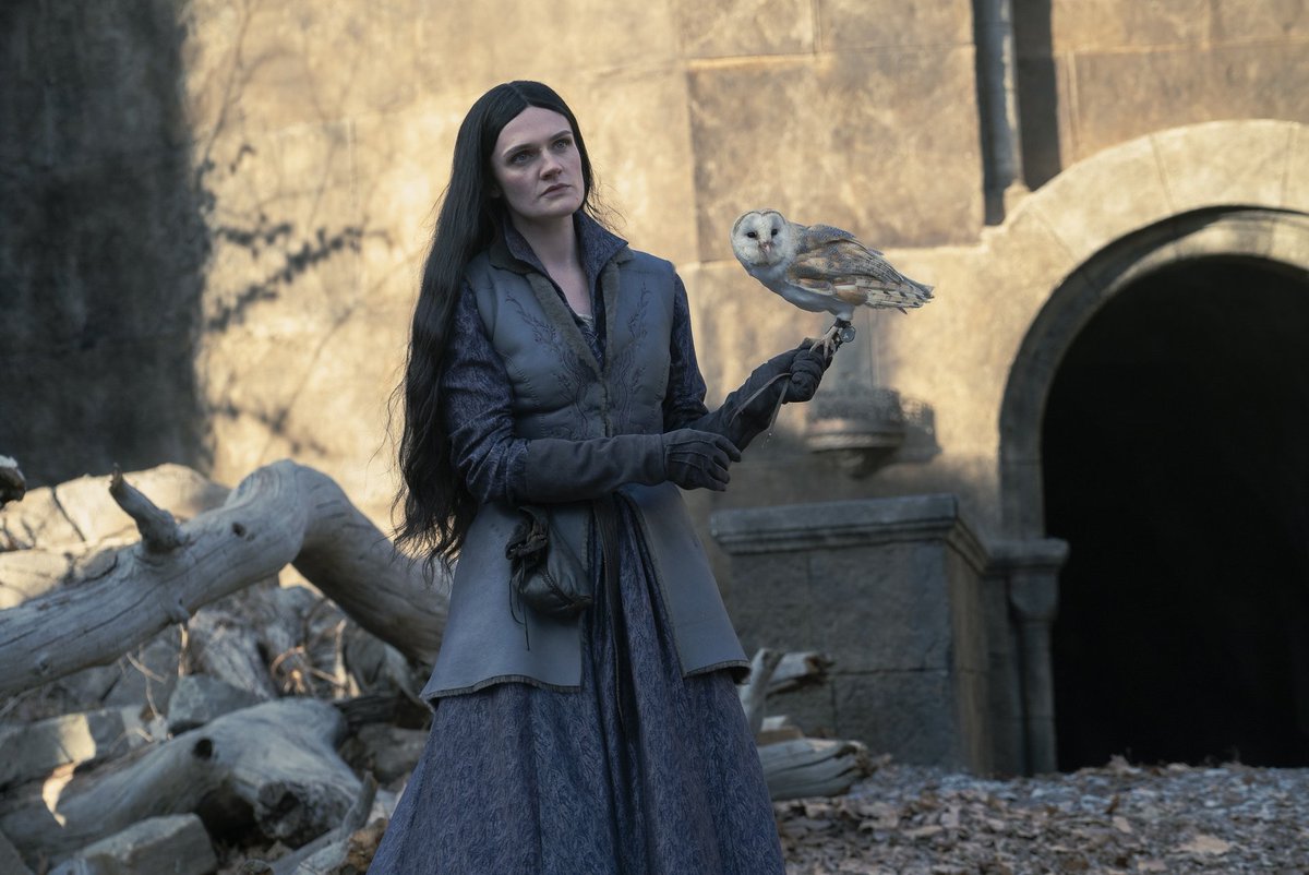 AlexineSkiba's tweet photo. Welcome back Yennefer and Filippa https://t.co/noWvhUjEl9