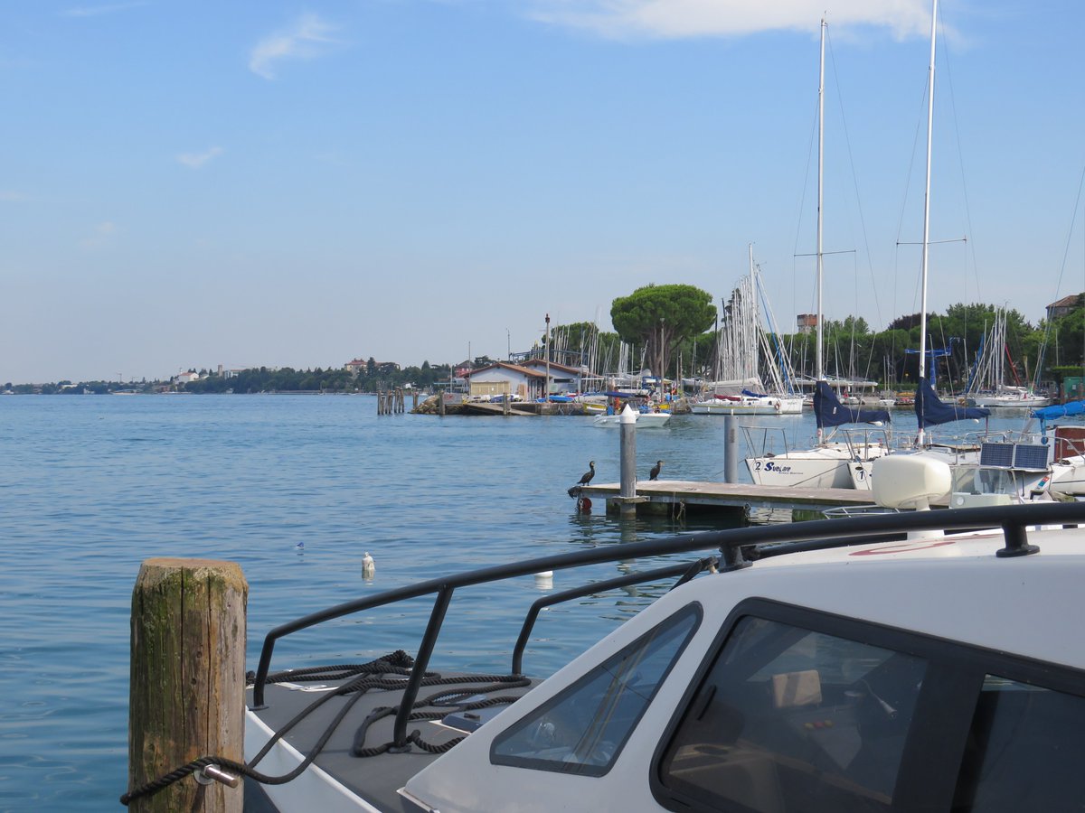 Italy Music Tour 2024 - Day 6 photos - a visit to Desensanzo, another beautiful town on the shores of Lake Garda, where there was time for shopping, ice cream and walking by the lake.
<a href="/solsch1560/">Solihull School</a> <a href="/SolSchTrips/">Solihull School Trips</a>