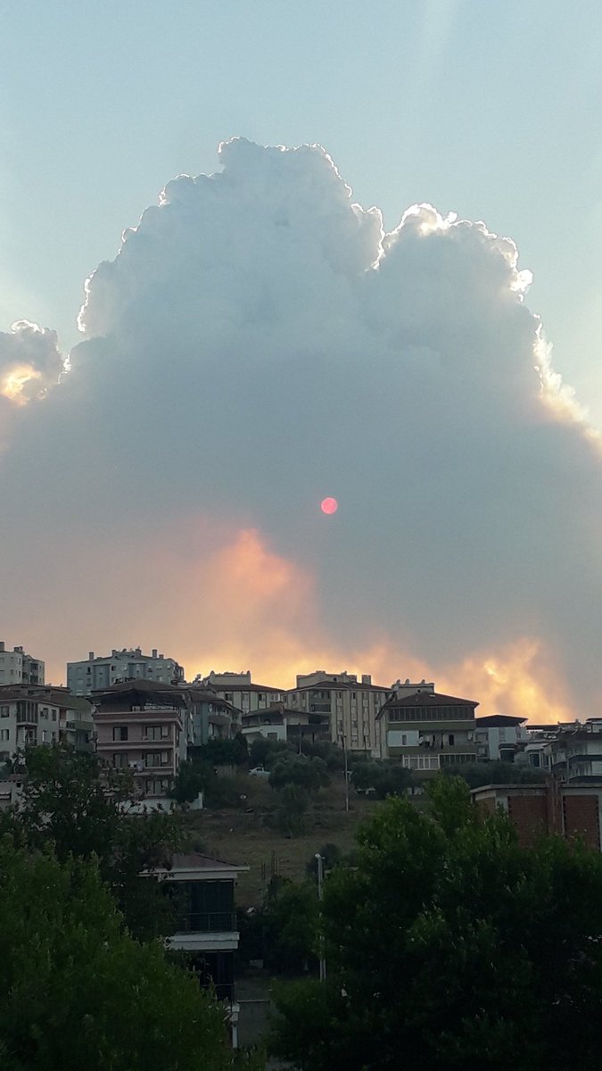 SaridedeMetin's tweet photo. Insanlar halen daha anlamıyorlar https://t.co/PZAjSOlVRb