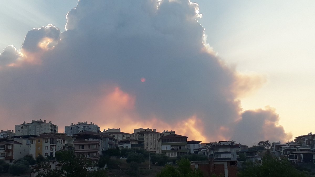 SaridedeMetin's tweet photo. Insanlar halen daha anlamıyorlar https://t.co/PZAjSOlVRb