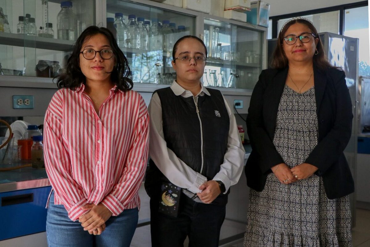 QueretaroAF's tweet image. Patentan investigadoras UAQ sustituto de leche a base de frijol ift.tt/yofnRHT