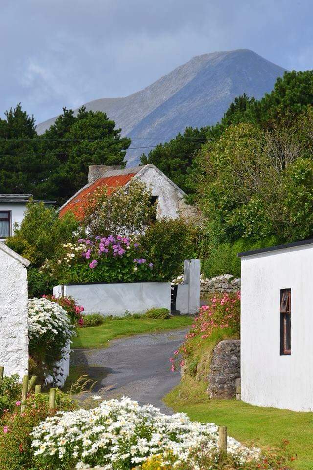 ThisIsIreland3's tweet photo. Summer Colours on Achill Island Mayo

📸  Robert Riddell

@mayotourism @wildatlanticway @DiscoverIreland @AchillIsleWalks

#Achill #achillisland #wildatlanticway #atlanticdrive #AmazingAchill #allthingsachill https://t.co/6tFiNBZ7cP