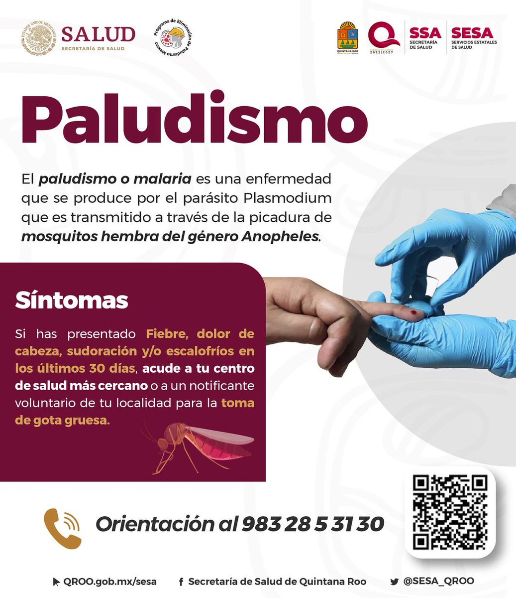 SESA Quintana Roo tweet media