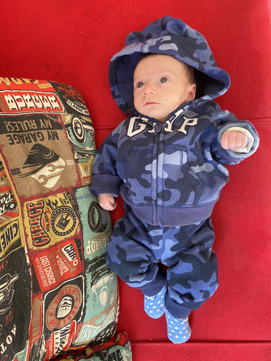 Mi gordo hermoso 😍