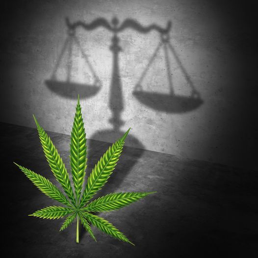nasw's tweet photo. Nearly 150 #SocialWorkers have signed on to a letter urging @POTUS to fully remove marijuana from the federal Controlled Substances Act (CSA), arguing there’s  a “critical need for decriminalization.” https://t.co/YwPVvs1fDt #NASW https://t.co/mqKizIO5xu
