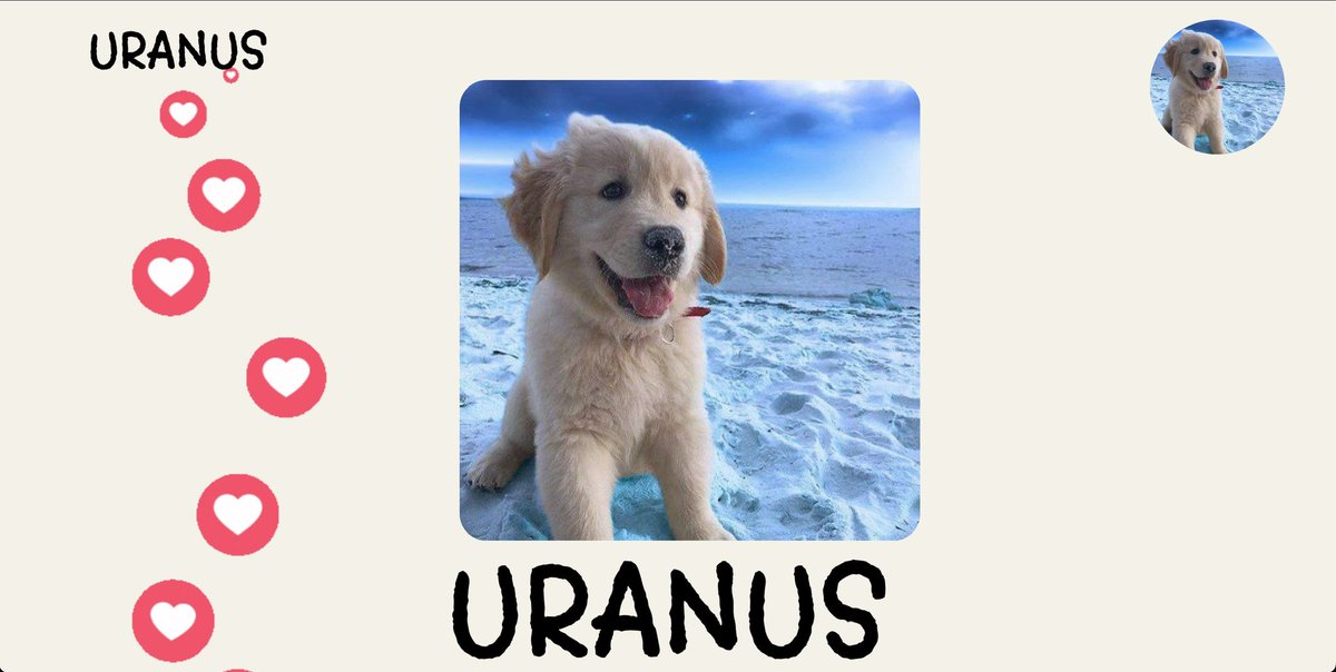mrxsolana's tweet photo. @rizlfg I think you forgot to put $URANUS on the list 🪐��😉🤫

Impossible to found a better community 😍

I jumped in $URANUS couple of days ago and I’m having a best time of my life with those people 💙💙💙

CA: AUQJgYup1m2LFj5Ed3aSfxAwJpbxq9VWqdWbS8twpump https://t.co/pdlEw0mf1Z