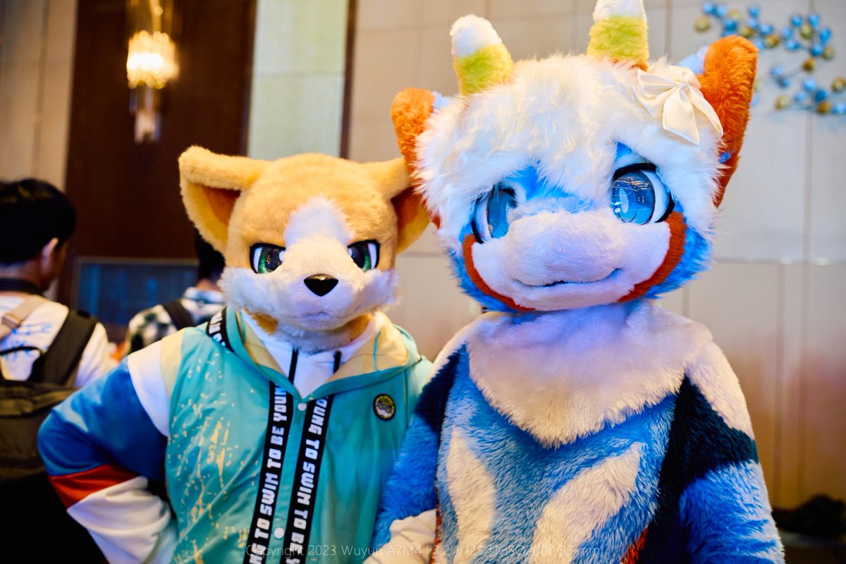 喵小杰Jmeow&LemonBiscuit tweet media