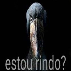 Piroconarosada's tweet photo. Como Deus eu não falho, só como ser humano 🙏🙏 https://t.co/F7FscMDlyk