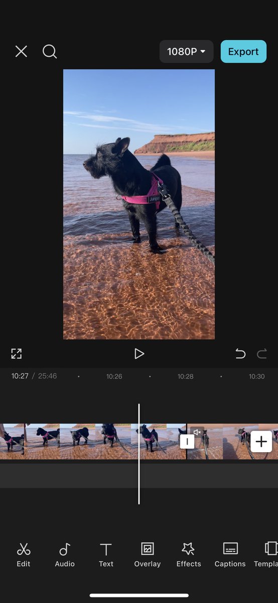 Demi l UGC Creator 🇨🇦 tweet media