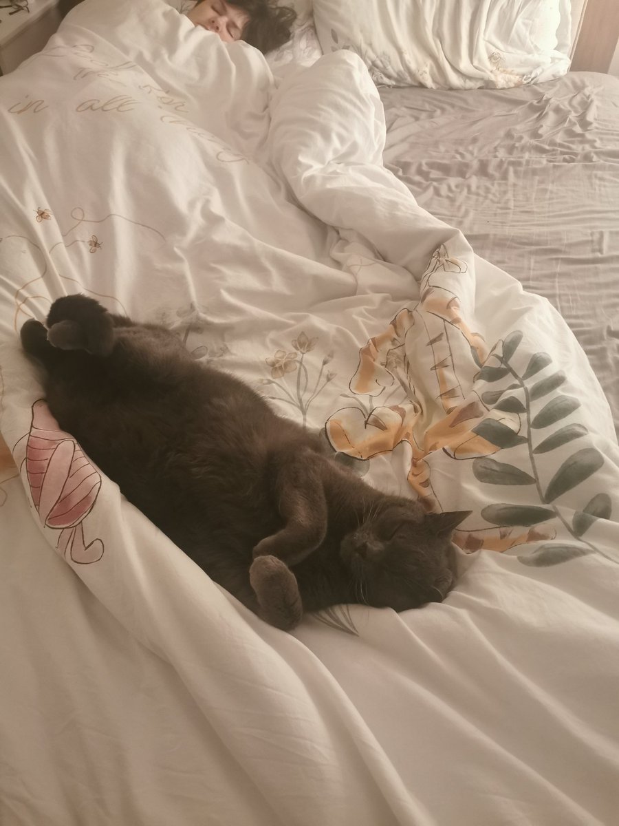 BeaverEBeaver's tweet photo. 6 months since we adopted Smokey 😊 https://t.co/iTuaIHShsf