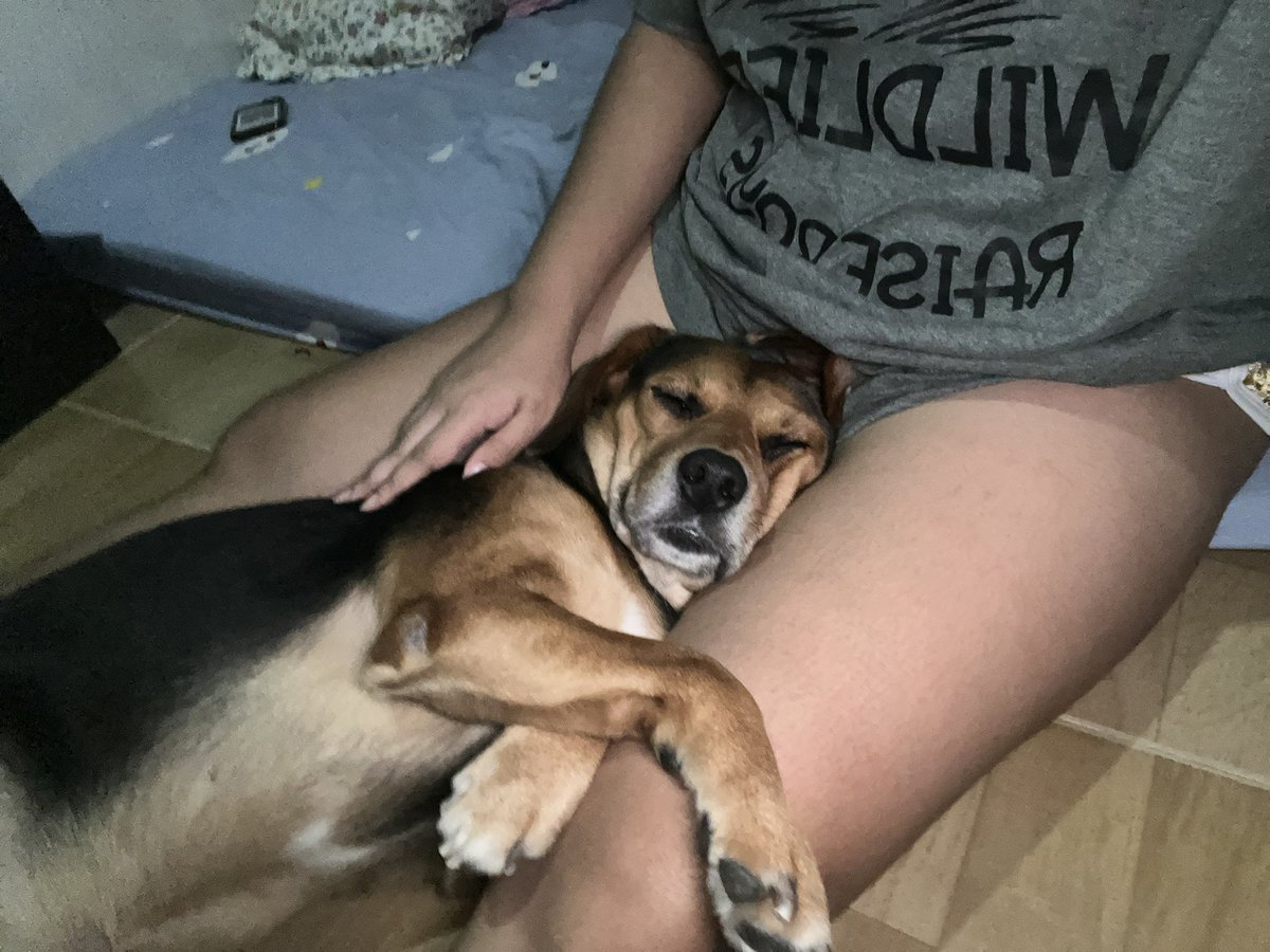 _kliyukoala's tweet photo. Isa sa mga mamimiss ko pag nagmove-out na kami ni beharbs 🥲 midnight katok and lambing ni pablo https://t.co/YXovHruXmo