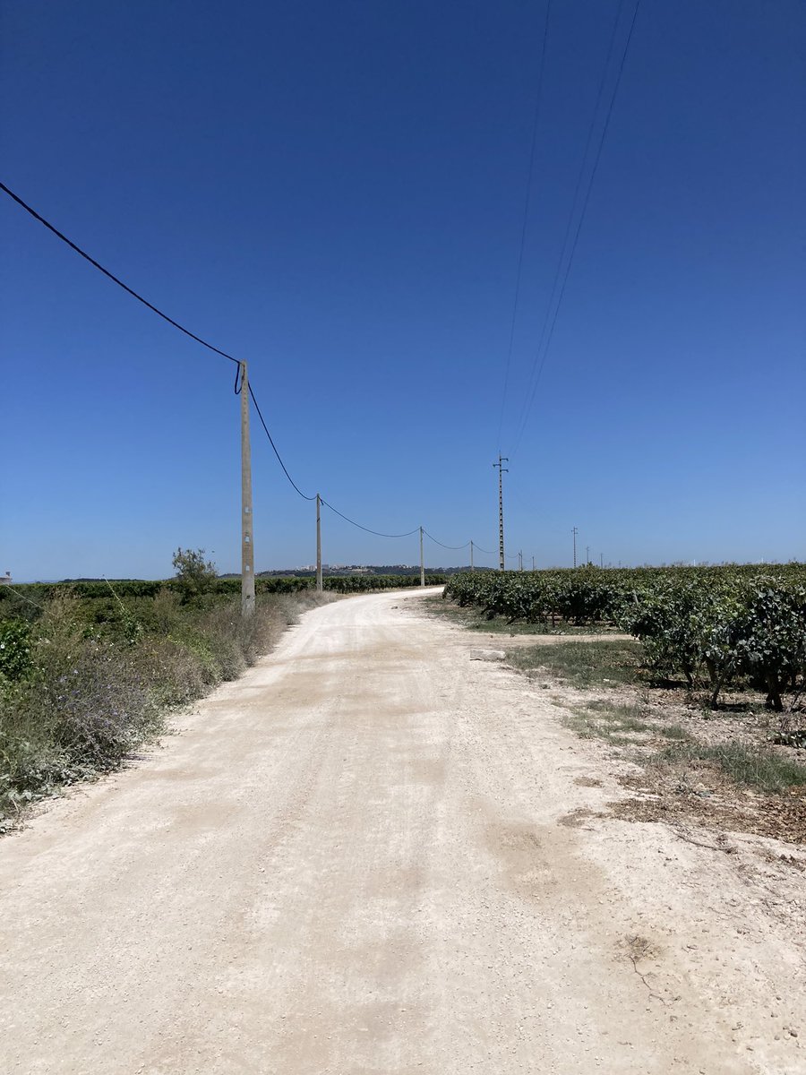 100PA_ttv's tweet photo. Idę sobie z ziomkami camino de santago compostella i jest tak kurewsko ciężko tbh. 30 km dziennie przez msc, odciski, srac ni ma gdzie, brak źródła wody przez 18km i prawie zero cienia  tylko winogronka można podpierdalac. Ciekawy jestem ile schudnę. Pzdr https://t.co/iR8XFOMXpr