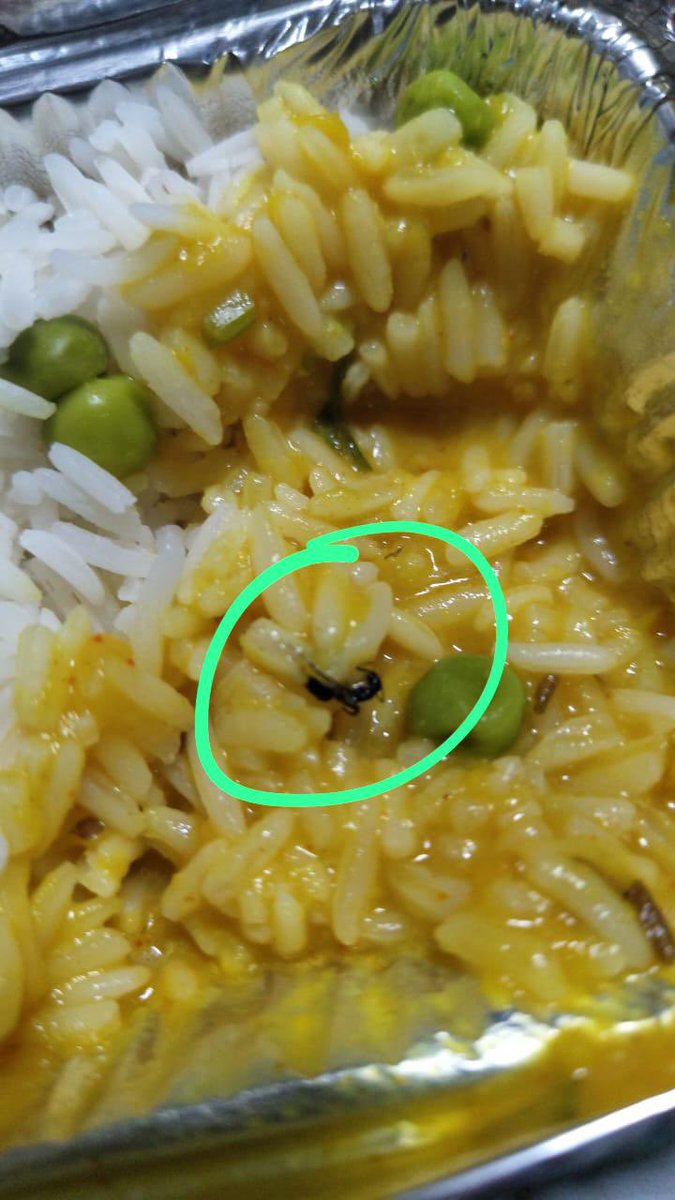 Prof (Dr) Riju Agarwal tweet media