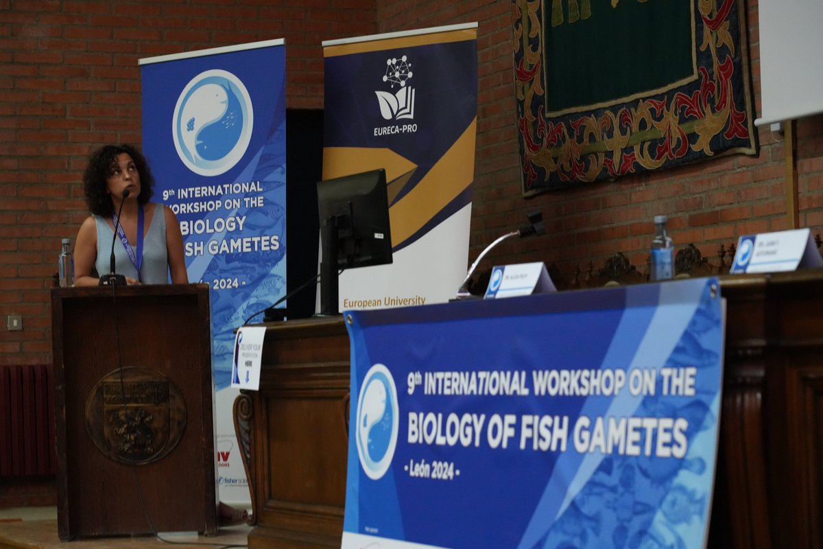 Fish Gametes 2024 tweet media