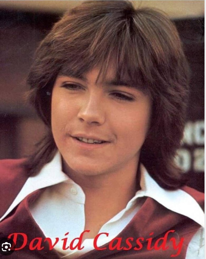 jazzmenshingoo3's tweet photo. David Cassidy https://t.co/uGi1Z0voN9